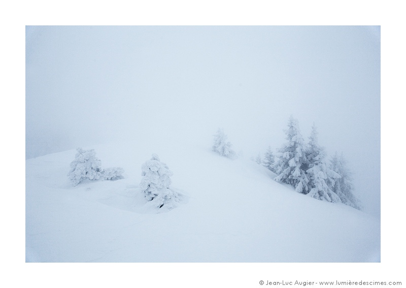 sapins-blancs-pravouta