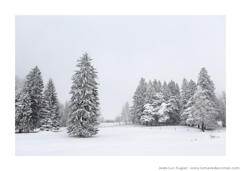 sappey-blanc
